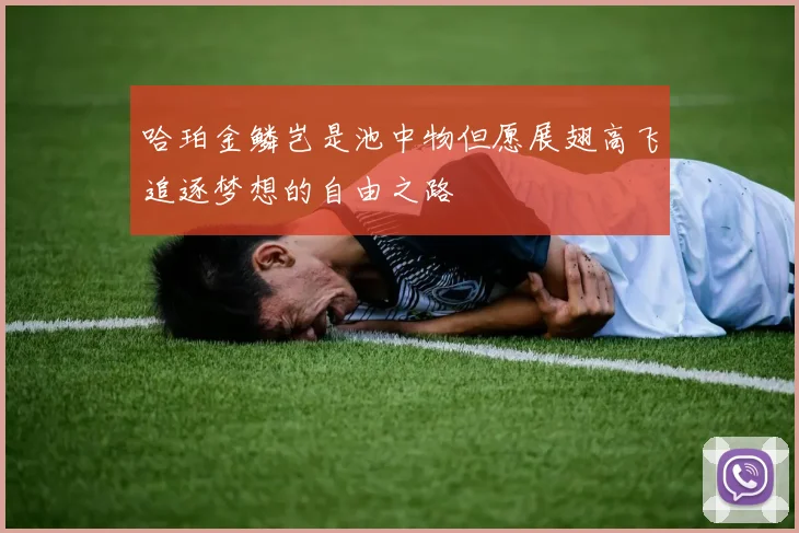 哈珀金鳞岂是池中物但愿展翅高飞追逐梦想的自由之路